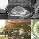 Image for article titled The Forgotten Offices That Shaped Apple, Facebook, and Google